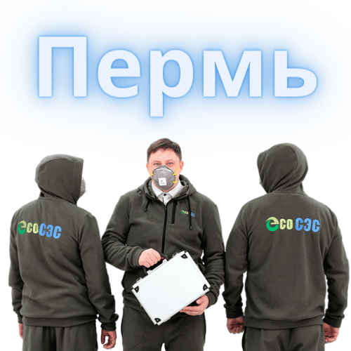 Команда ЭкоСЭС