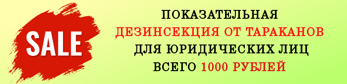 Фото- показательная дезинсекция