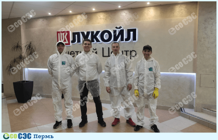 Фото-служба дезинфекции